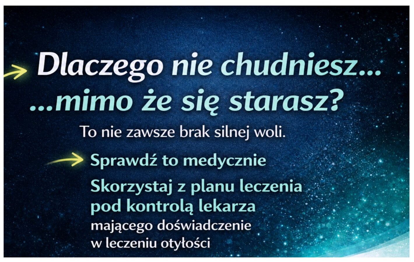 Program otyłości